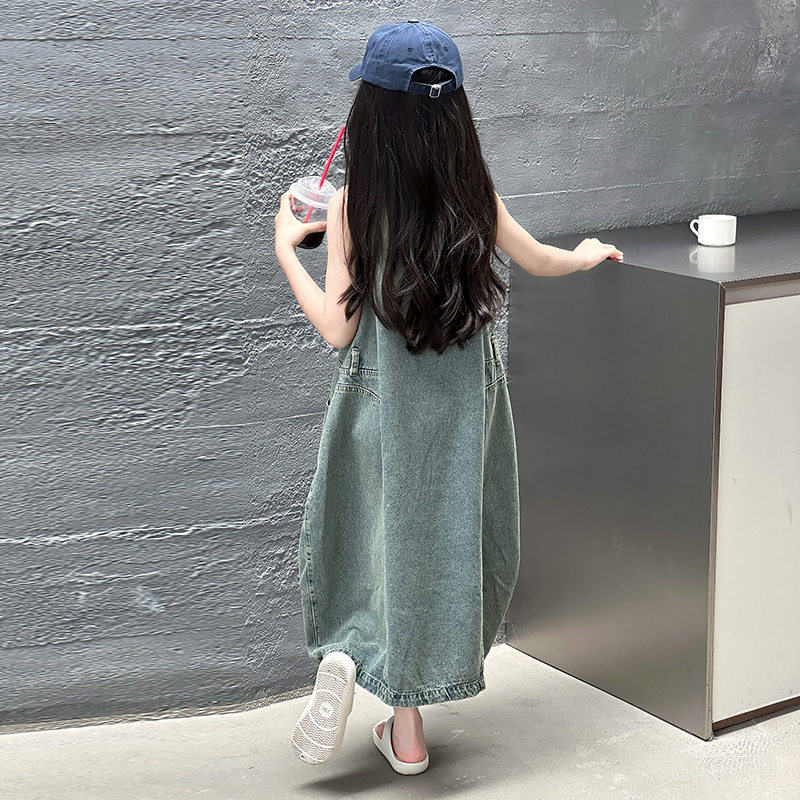 빈티지 블루 어린이 소녀 고품질 민소매 데님 드레스 s - Summer Clothing Girls 리뷰 및 가격